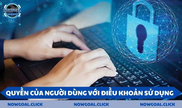 Quyền của người dùng với điều khoản sử dụng